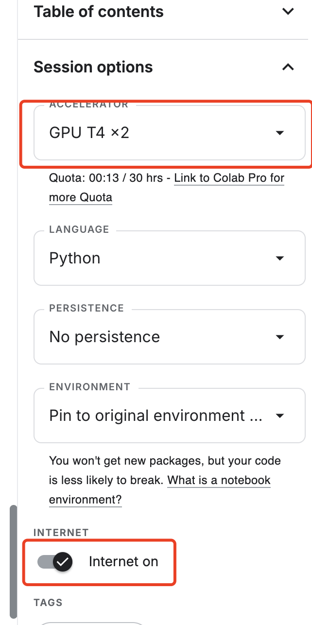 Kaggle 右侧 Session options 面板，Accelerator 选为 GPU T4 ×2、Internet 开关处于打开状态，配额显示 30 hrs